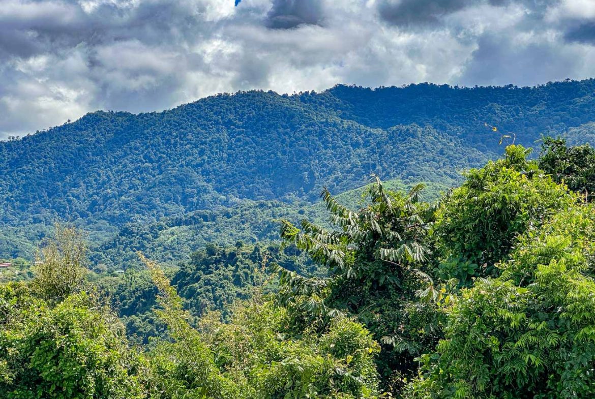 JUNGLE BUILDING PROPERTY WITH OCEAN VIEWS IN CHONTALES OJOCHAL – 9 ACRES
