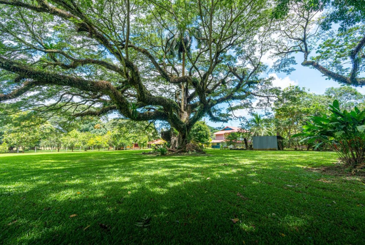 POTENTIAL COMMERCIAL PROPERTY WITH MULTIPLE HOMES NEXT TO AIRPORT IN PALMAR SUR, Uvita, Costa Rica — photo 5