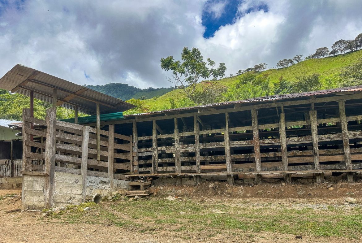 BUILDING FARM PROPERTY WITH MOUNTAIN VIEW, IN PUERTO CORTES – 464 ACRES