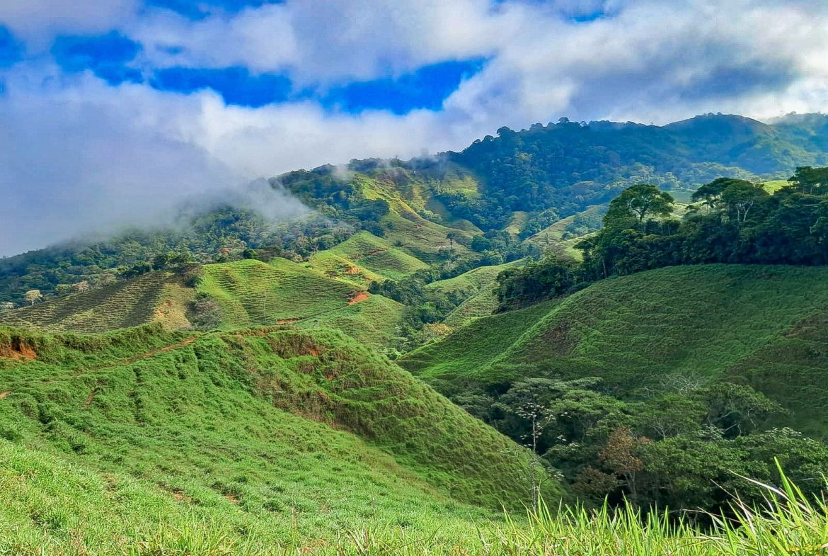 BUILDING FARM PROPERTY WITH MOUNTAIN VIEW, IN PUERTO CORTES – 464 ACRES
