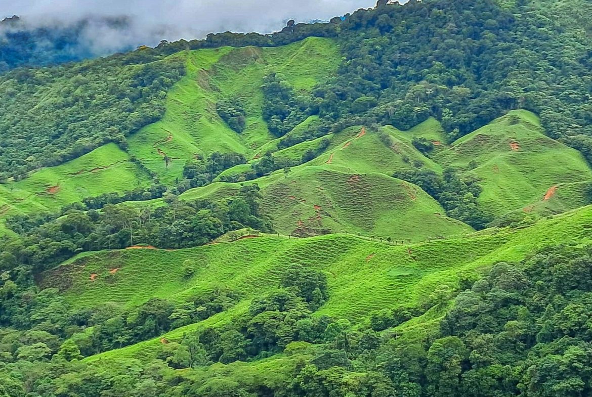 BUILDING FARM PROPERTY WITH MOUNTAIN VIEW, IN PUERTO CORTES – 464 ACRES