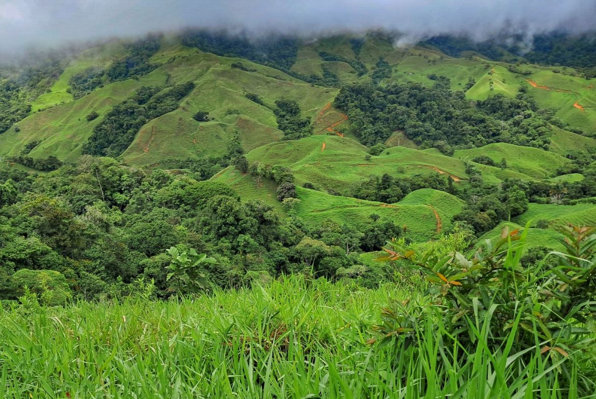 BUILDING FARM PROPERTY WITH MOUNTAIN VIEW, IN PUERTO CORTES – 464 ACRES