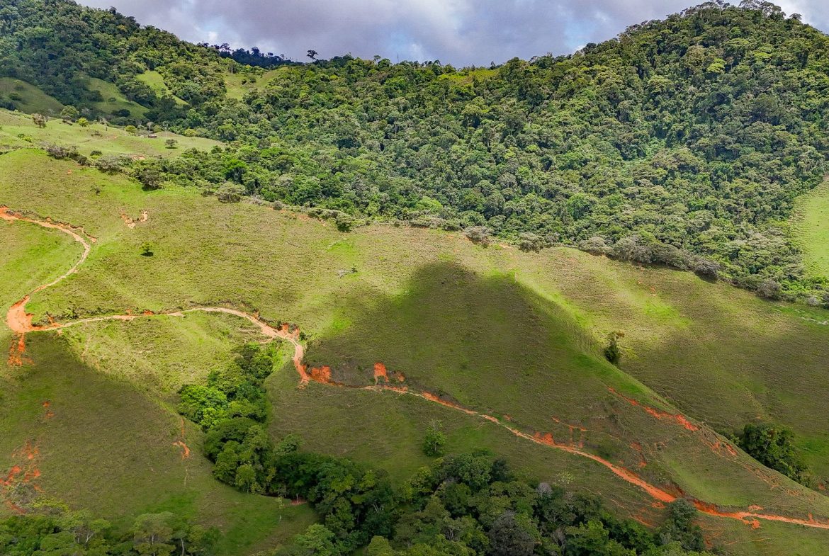 BUILDING FARM PROPERTY WITH MOUNTAIN VIEW, IN PUERTO CORTES – 464 ACRES, Uvita, Costa Rica — photo 6