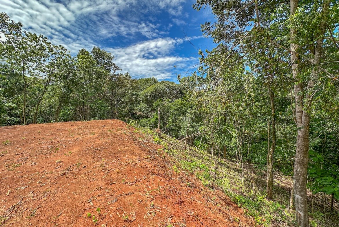 BUILDING PROPERTY NEAR A CREEK, IN OJOCHAL – 1.6 ACRES