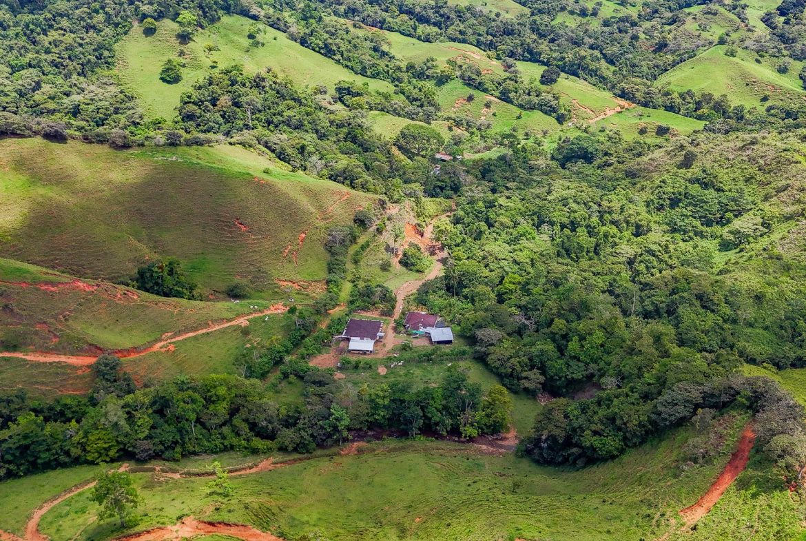 BUILDING FARM PROPERTY WITH MOUNTAIN VIEW, IN PUERTO CORTES – 464 ACRES, Uvita, Costa Rica — photo 7