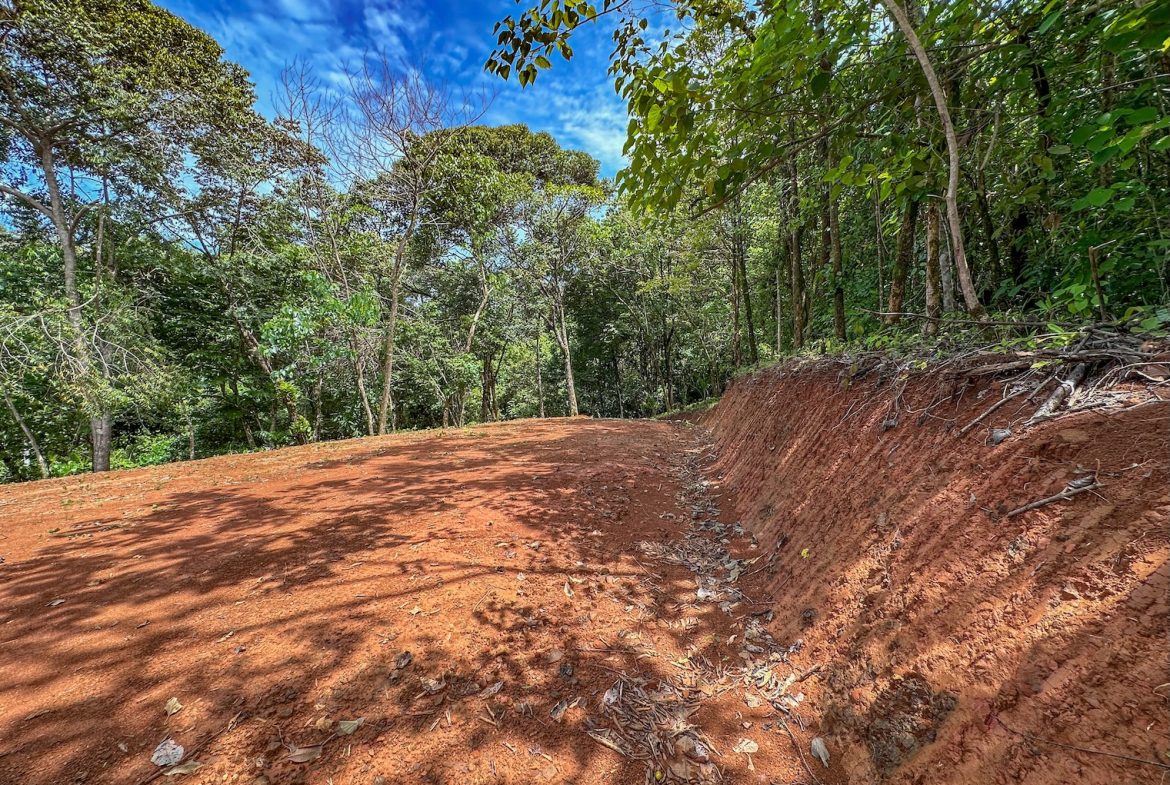 BUILDING PROPERTY NEAR A CREEK, IN OJOCHAL – 1.6 ACRES