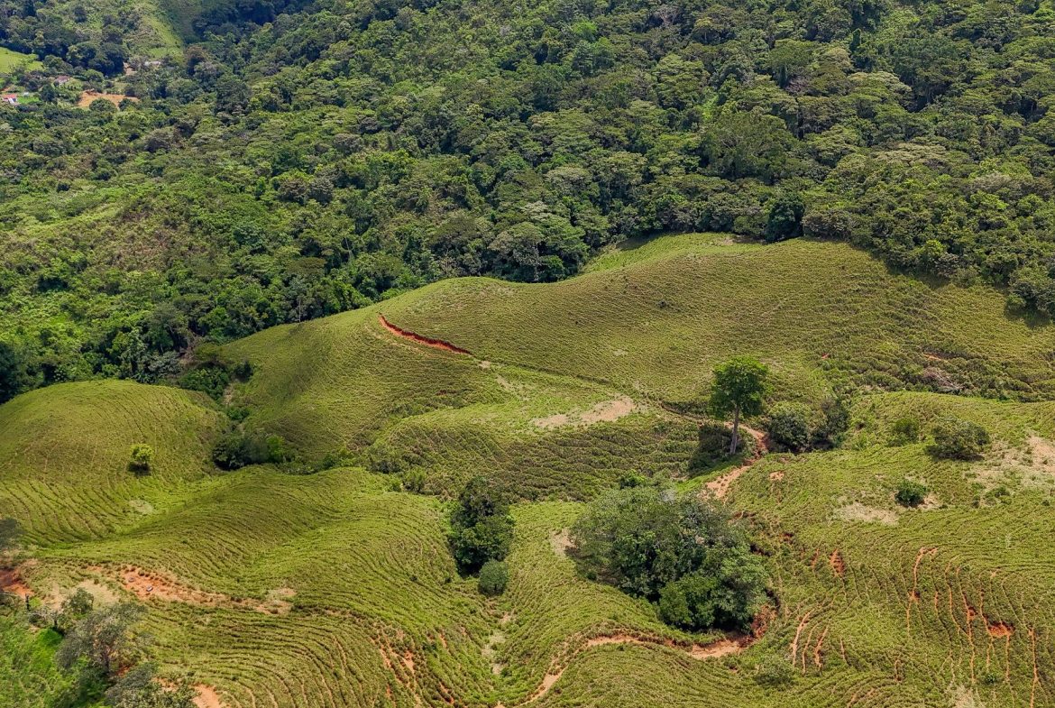 BUILDING FARM PROPERTY WITH MOUNTAIN VIEW, IN PUERTO CORTES – 464 ACRES, Uvita, Costa Rica — photo 8