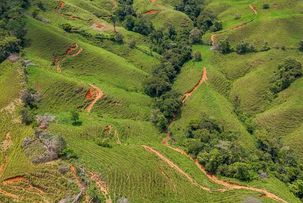 BUILDING FARM PROPERTY WITH MOUNTAIN VIEW, IN PUERTO CORTES – 464 ACRES