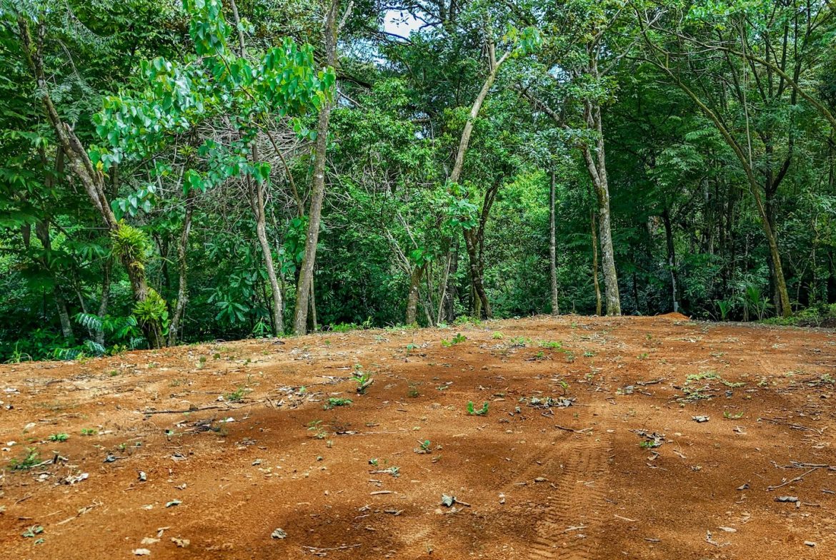 BUILDING PROPERTY NEAR A CREEK, IN OJOCHAL – 1.6 ACRES