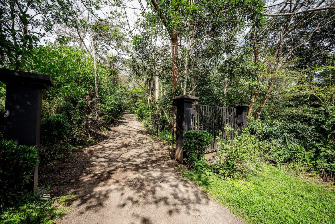 JUNGLE PROPERTY WITH IN FRONT ARENAL LAKE VIEW  AND GUEST GUEST HOUESE, IN TEJONA – 4.17 ACRES
