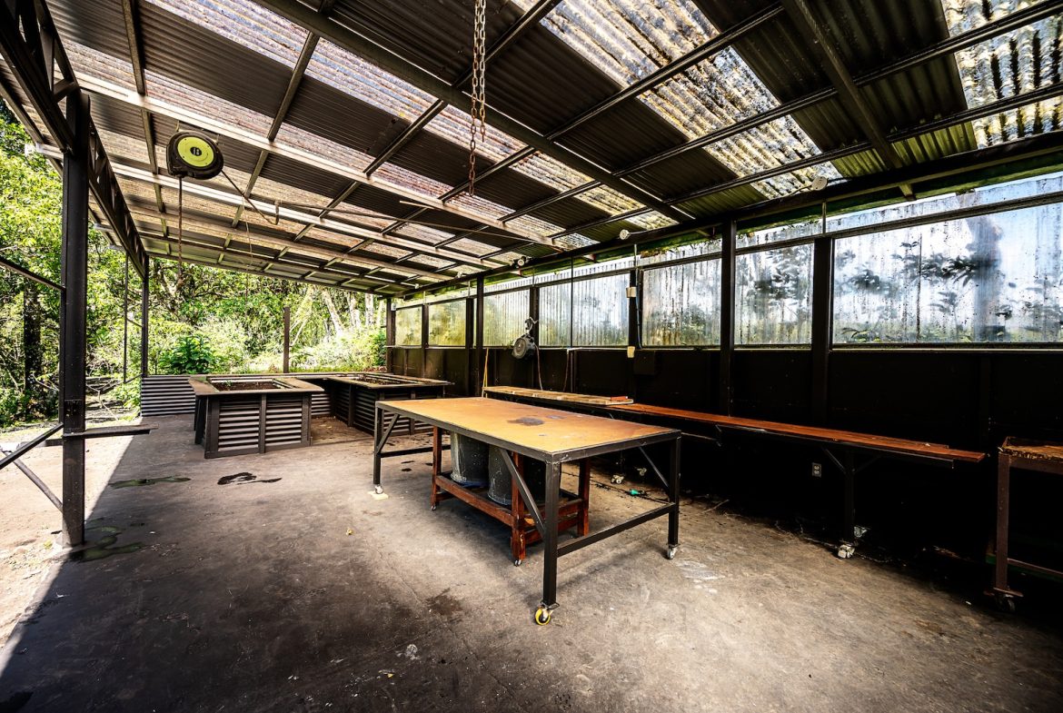 JUNGLE PROPERTY WITH IN FRONT ARENAL LAKE VIEW  AND GUEST GUEST HOUESE, IN TEJONA – 4.17 ACRES