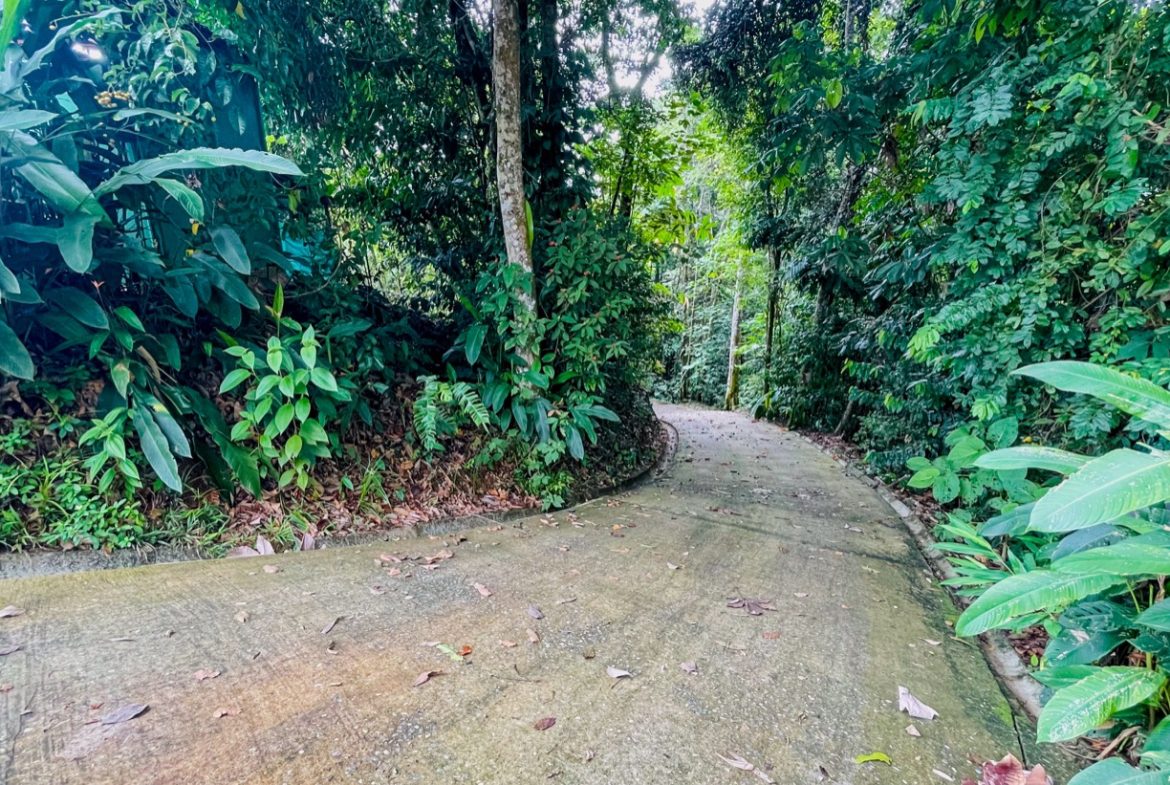 TWO FLOOR PROPERTY WITH A GUEST HOUSE AND OCEAN VIEWS, IN OJOCHAL – 1.55 ACRES