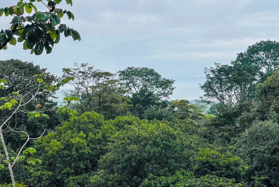 TWO FLOOR PROPERTY WITH A GUEST HOUSE AND OCEAN VIEWS, IN OJOCHAL – 1.55 ACRES
