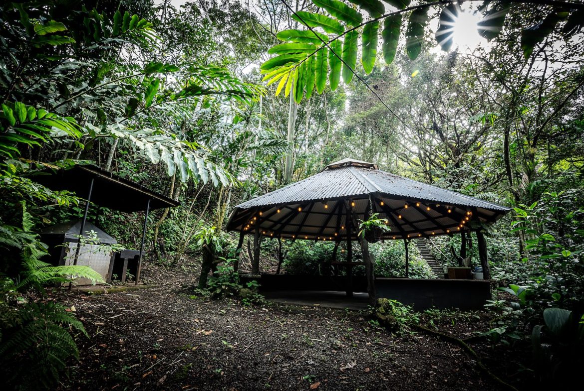 JUNGLE PROPERTY WITH IN FRONT ARENAL LAKE VIEW  AND GUEST GUEST HOUESE, IN TEJONA – 4.17 ACRES