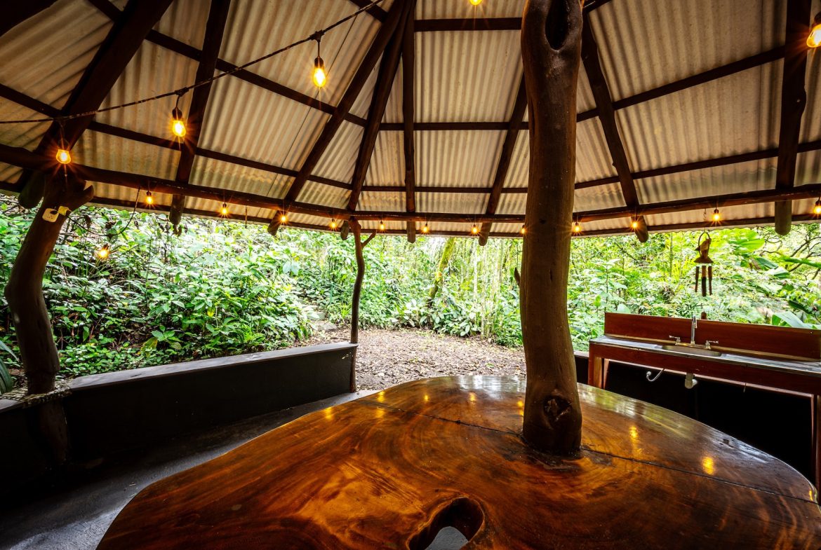 JUNGLE PROPERTY WITH IN FRONT ARENAL LAKE VIEW  AND GUEST GUEST HOUESE, IN TEJONA – 4.17 ACRES