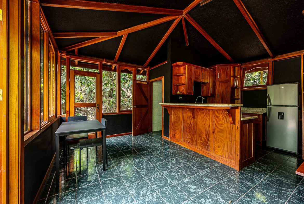 JUNGLE PROPERTY WITH IN FRONT ARENAL LAKE VIEW  AND GUEST GUEST HOUESE, IN TEJONA – 4.17 ACRES