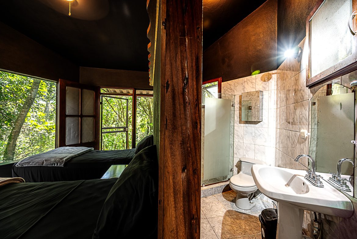 JUNGLE PROPERTY WITH IN FRONT ARENAL LAKE VIEW  AND GUEST GUEST HOUESE, IN TEJONA – 4.17 ACRES