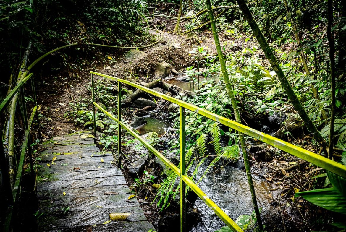 JUNGLE PROPERTY WITH IN FRONT ARENAL LAKE VIEW  AND GUEST GUEST HOUESE, IN TEJONA – 4.17 ACRES