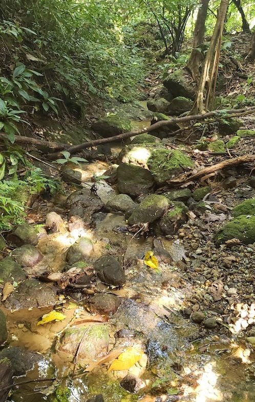 BUILDING PROPERTY WITH MOUNTAIN VIEWS, IN TRES RIOS – 0.47 ACRES