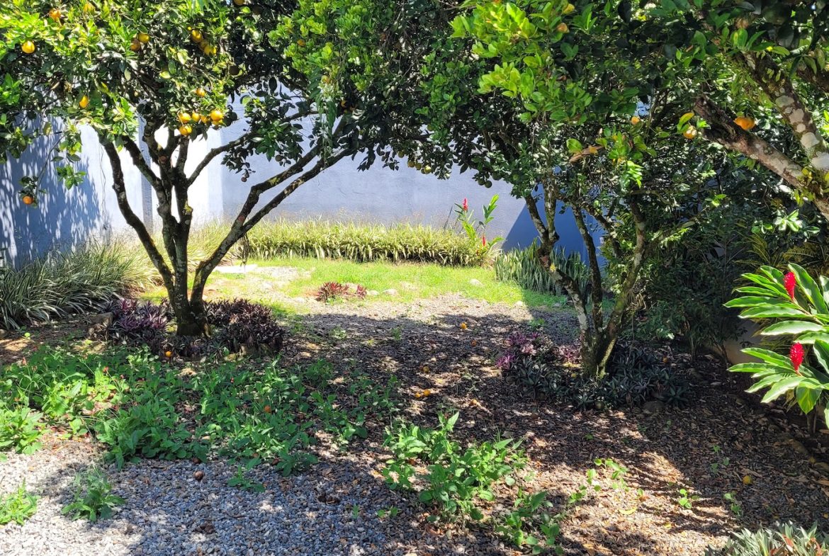 PROPERTY WITH THREE BEDROOMS HOME  AND FRUIT TREES, NEAR TO THE SAN ISIDRO – 0.03 ACRES