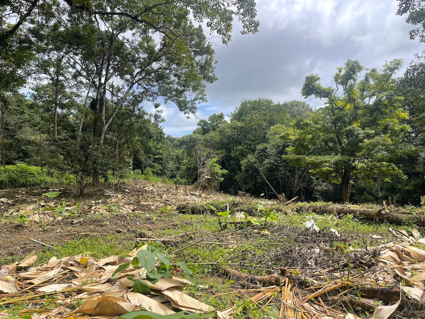 2_Tres Rios_River Lot