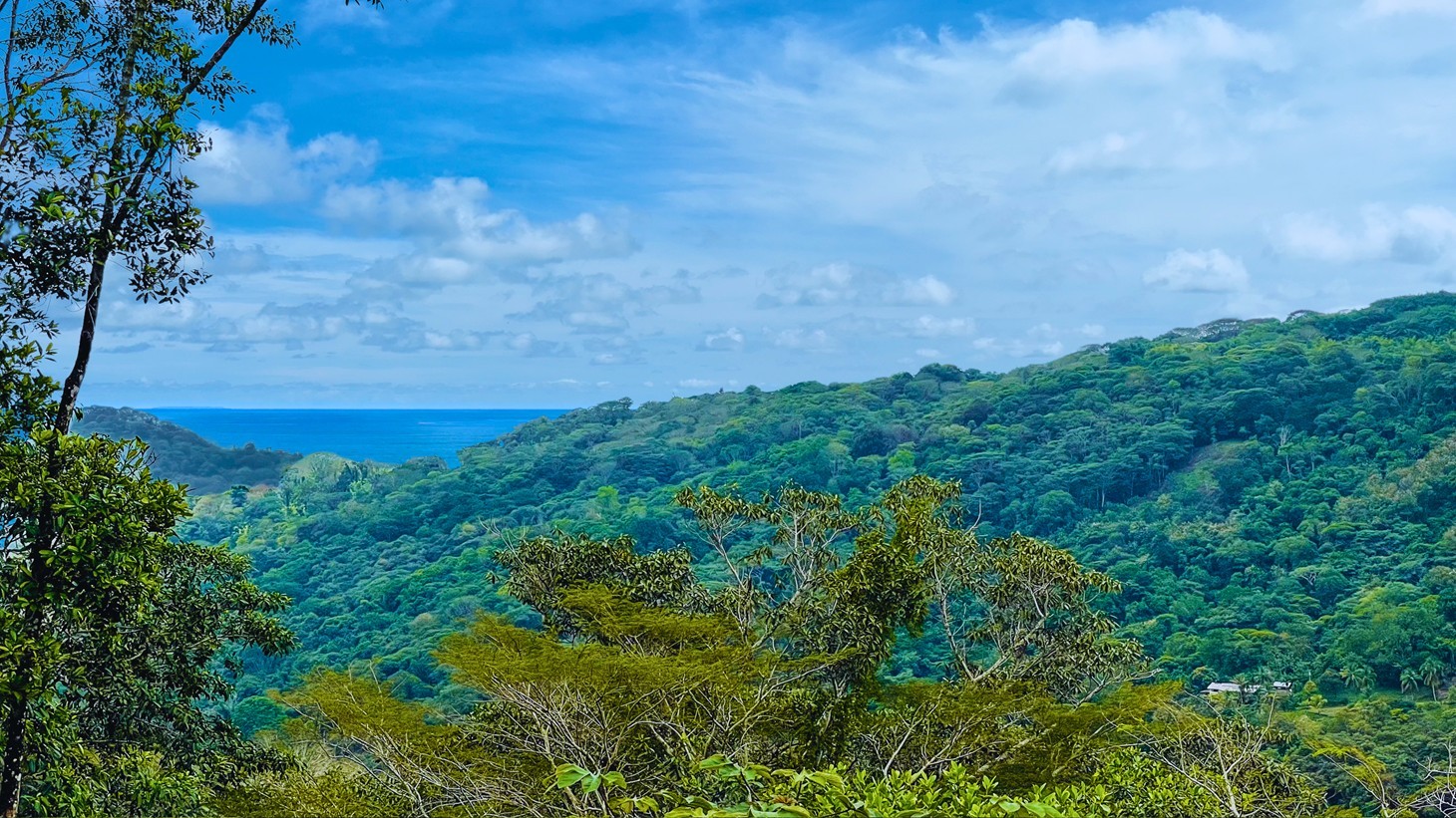 5514 – Lagunas 2 Bedroom Ocean & Canopy Views_04