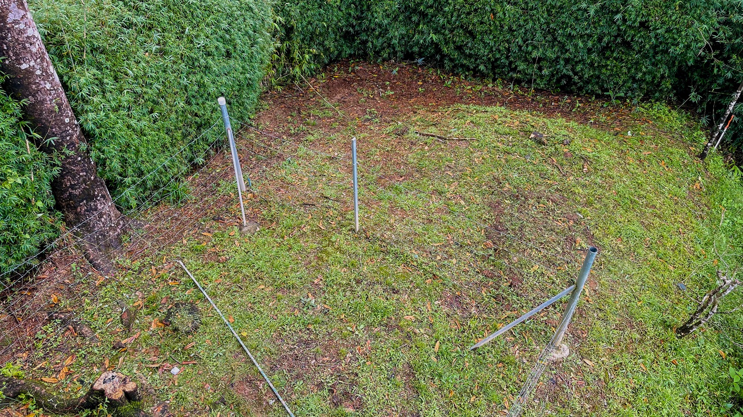 5514 – Lagunas 2 Bedroom Ocean & Canopy Views_19