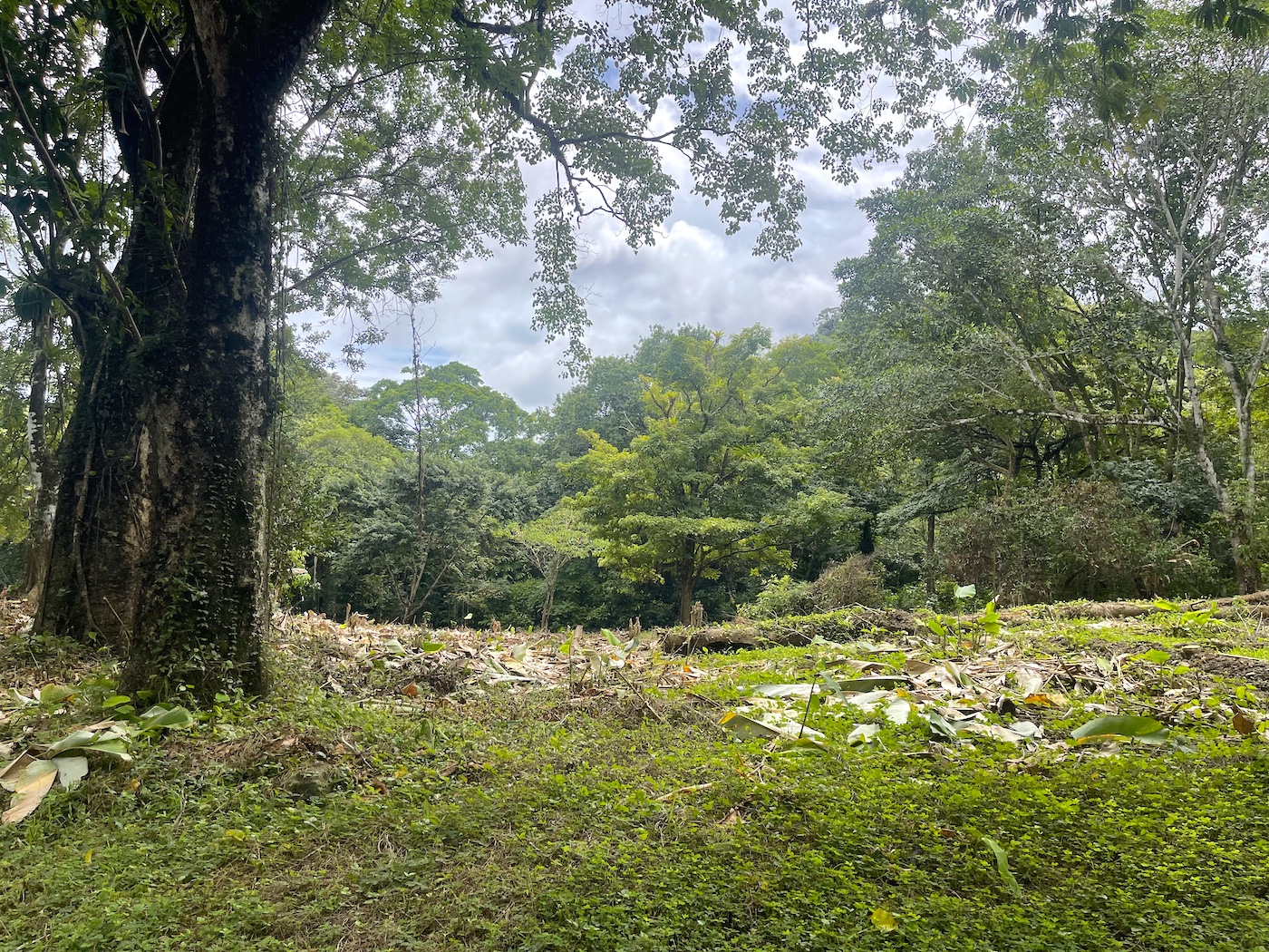 5_Tres Rios_River Lot