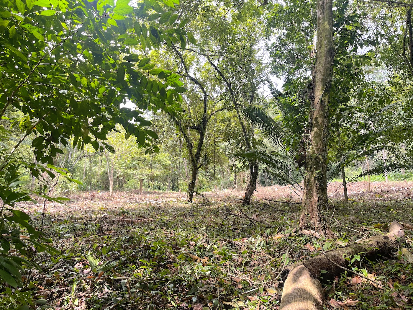 6_Tres Rios_River Lot