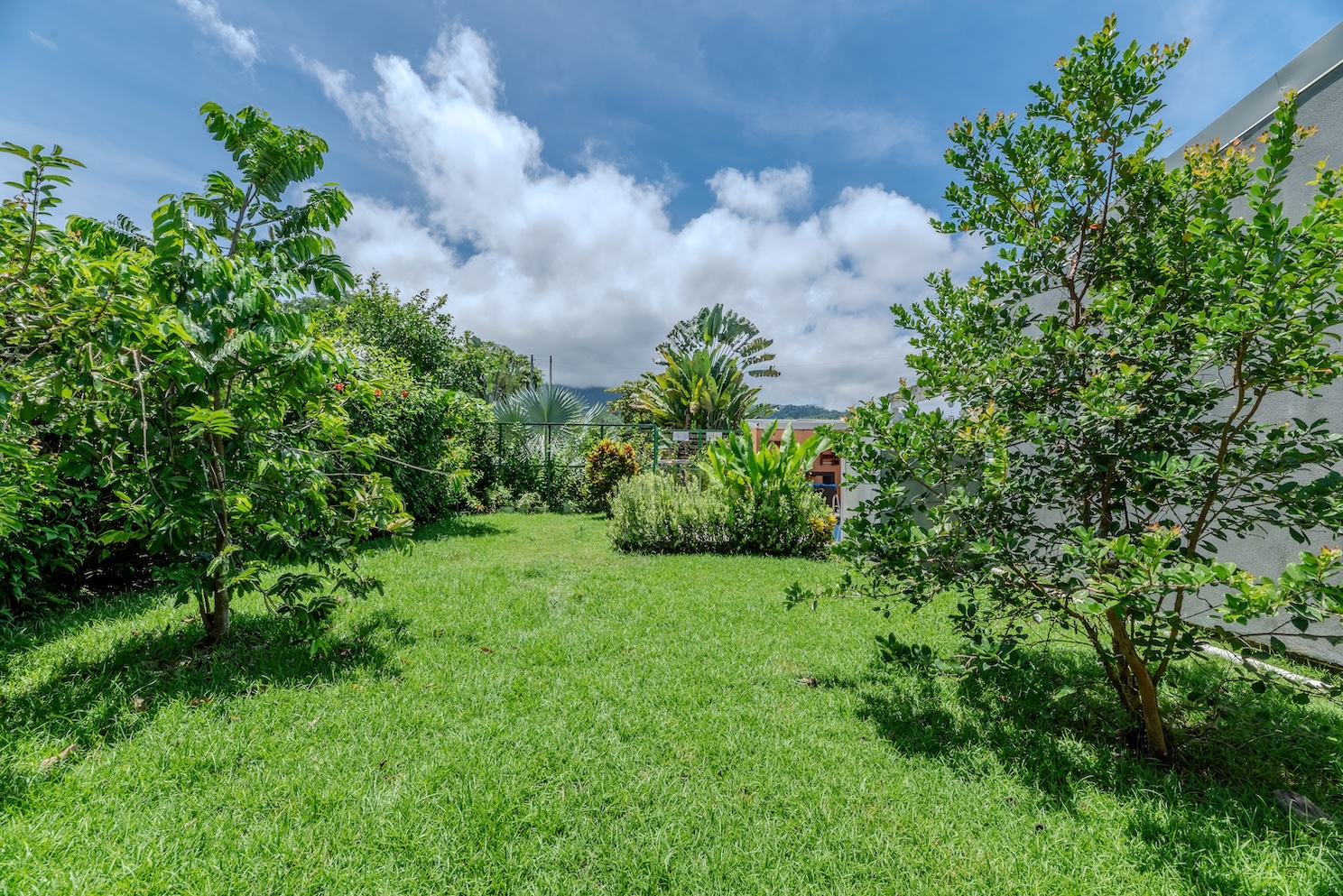 BZ-AU Chamán -19 (1)