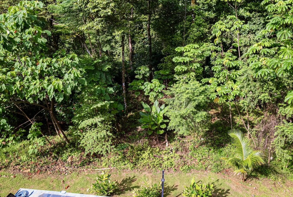 BUILDING JUNGLE PROPERTY WITH TREES VIEWS, IN OJOCHAL – 0.32 ACRES
