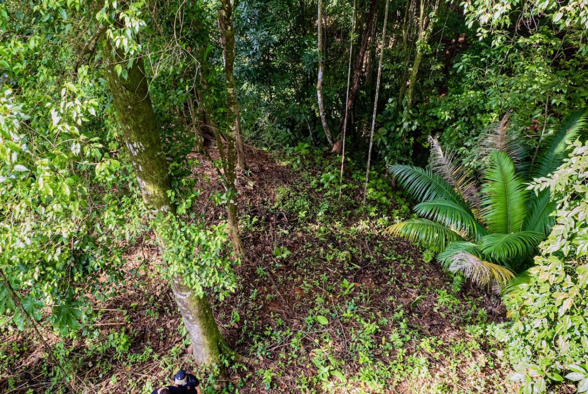 BUILDING JUNGLE PROPERTY WITH TREES VIEWS, IN OJOCHAL – 0.32 ACRES