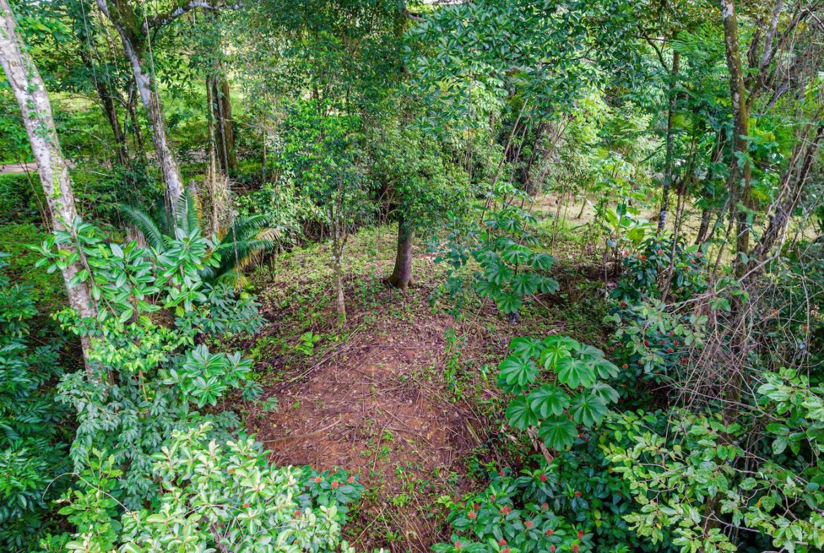 BUILDING JUNGLE PROPERTY WITH TREES VIEWS, IN OJOCHAL – 0.32 ACRES