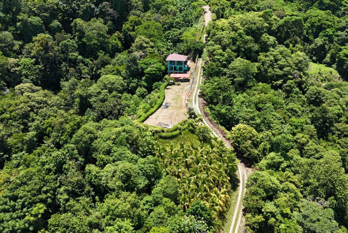 MOUNTAIN PROPERTY UNDER CONSTRUCTION IN PIÑUELAS – 1.65 ACRES, Uvita, Costa Rica — photo 8