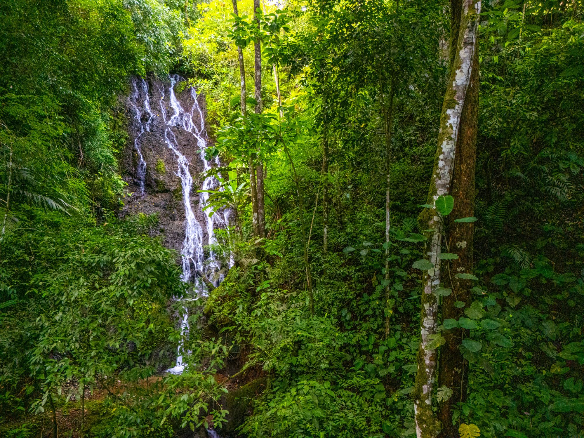 DJI_20250801144643_0067_D