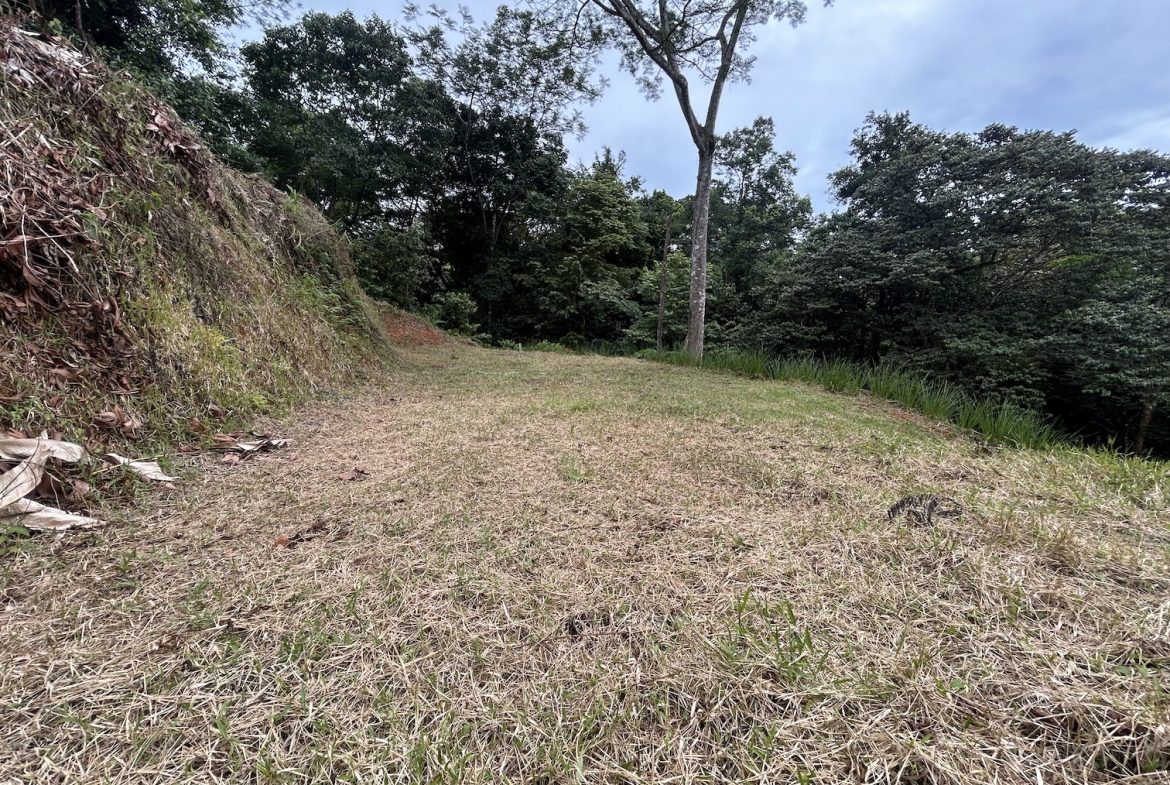 BUILDING PROPERTY IN A GATED COMMUNITY WITH MOUNTAIN VIEWS, IN OJOCHAL – 1.05 ACRES