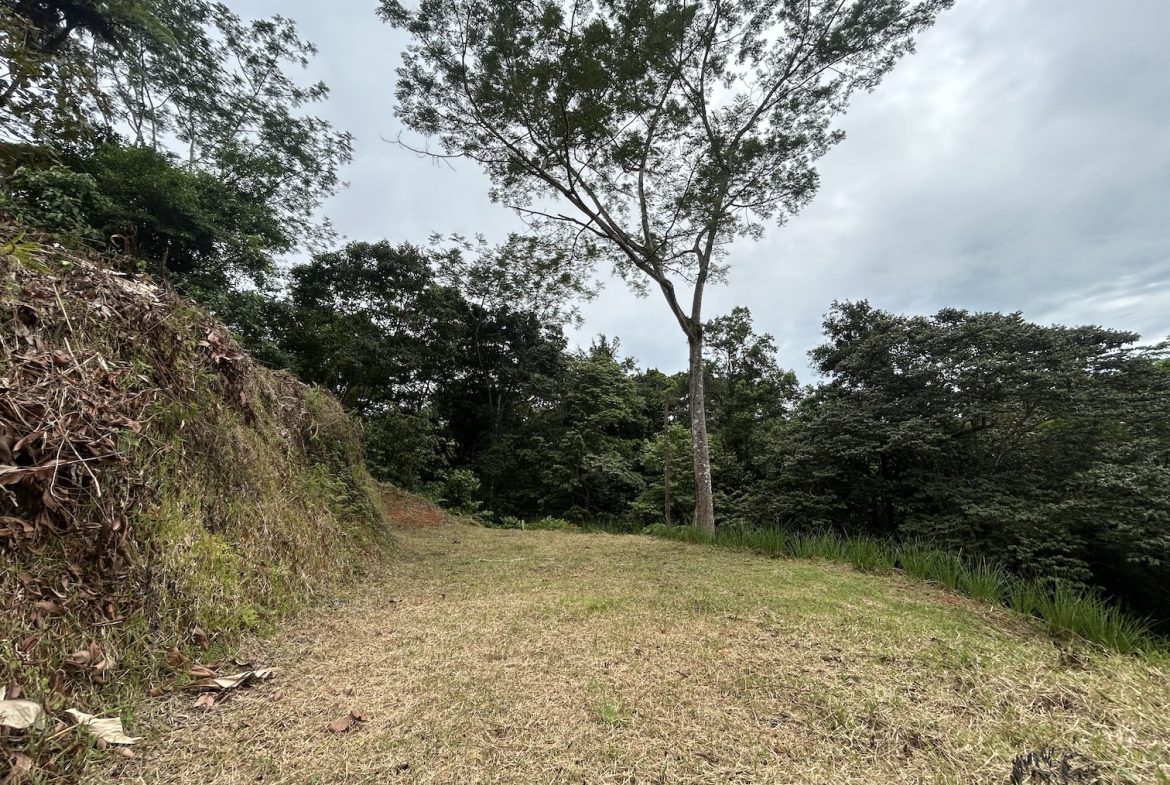 BUILDING PROPERTY IN A GATED COMMUNITY WITH MOUNTAIN VIEWS, IN OJOCHAL – 1.05 ACRES