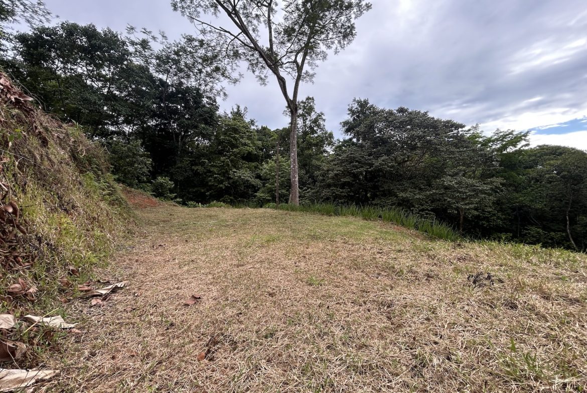 BUILDING PROPERTY IN A GATED COMMUNITY WITH MOUNTAIN VIEWS, IN OJOCHAL – 1.05 ACRES