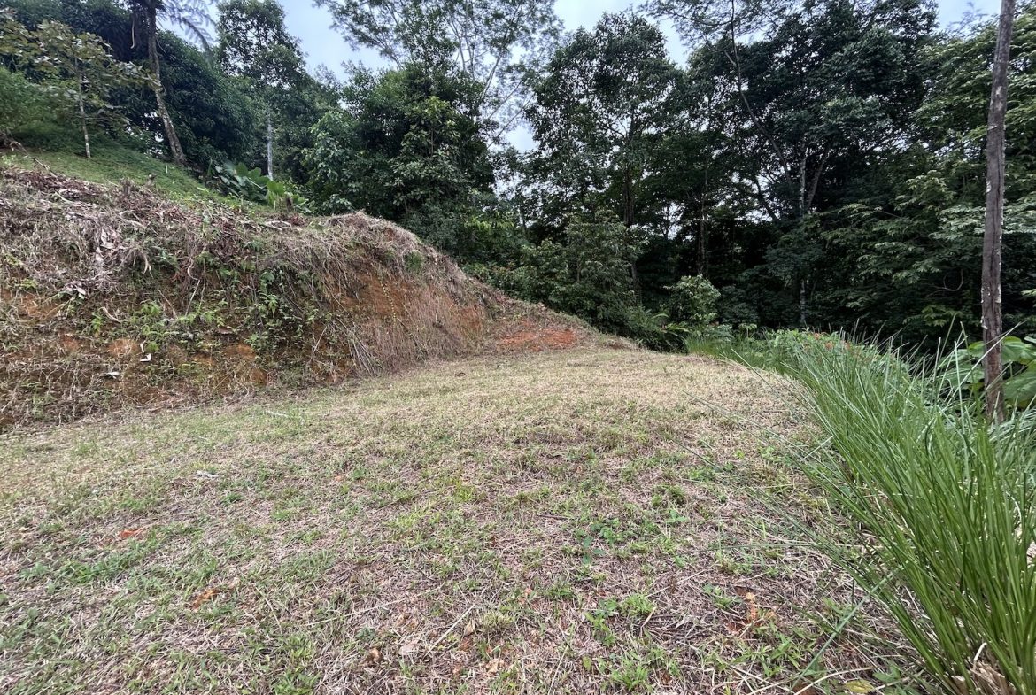 BUILDING PROPERTY IN A GATED COMMUNITY WITH MOUNTAIN VIEWS, IN OJOCHAL – 1.05 ACRES
