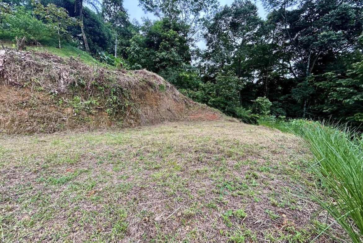 BUILDING PROPERTY IN A GATED COMMUNITY WITH MOUNTAIN VIEWS, IN OJOCHAL – 1.05 ACRES