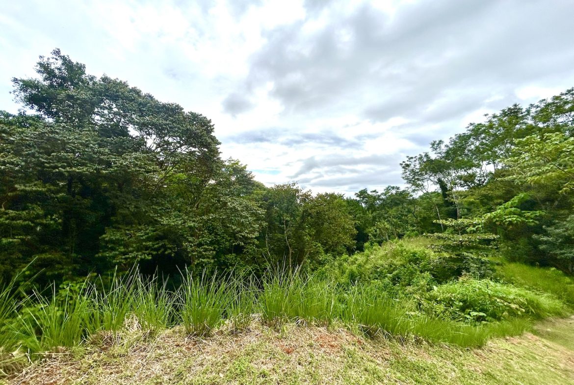 BUILDING PROPERTY IN A GATED COMMUNITY WITH MOUNTAIN VIEWS, IN OJOCHAL – 1.05 ACRES