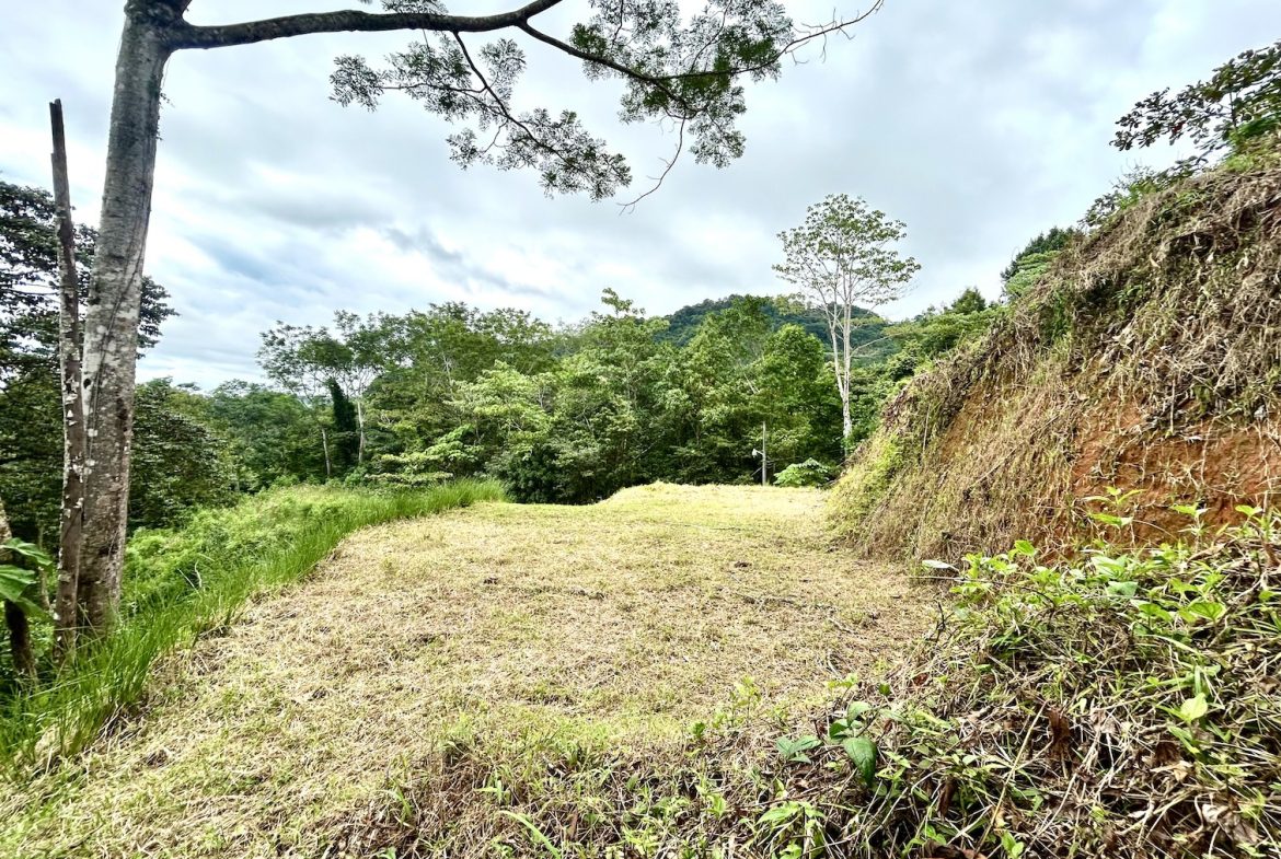 BUILDING PROPERTY IN A GATED COMMUNITY WITH MOUNTAIN VIEWS, IN OJOCHAL – 1.05 ACRES