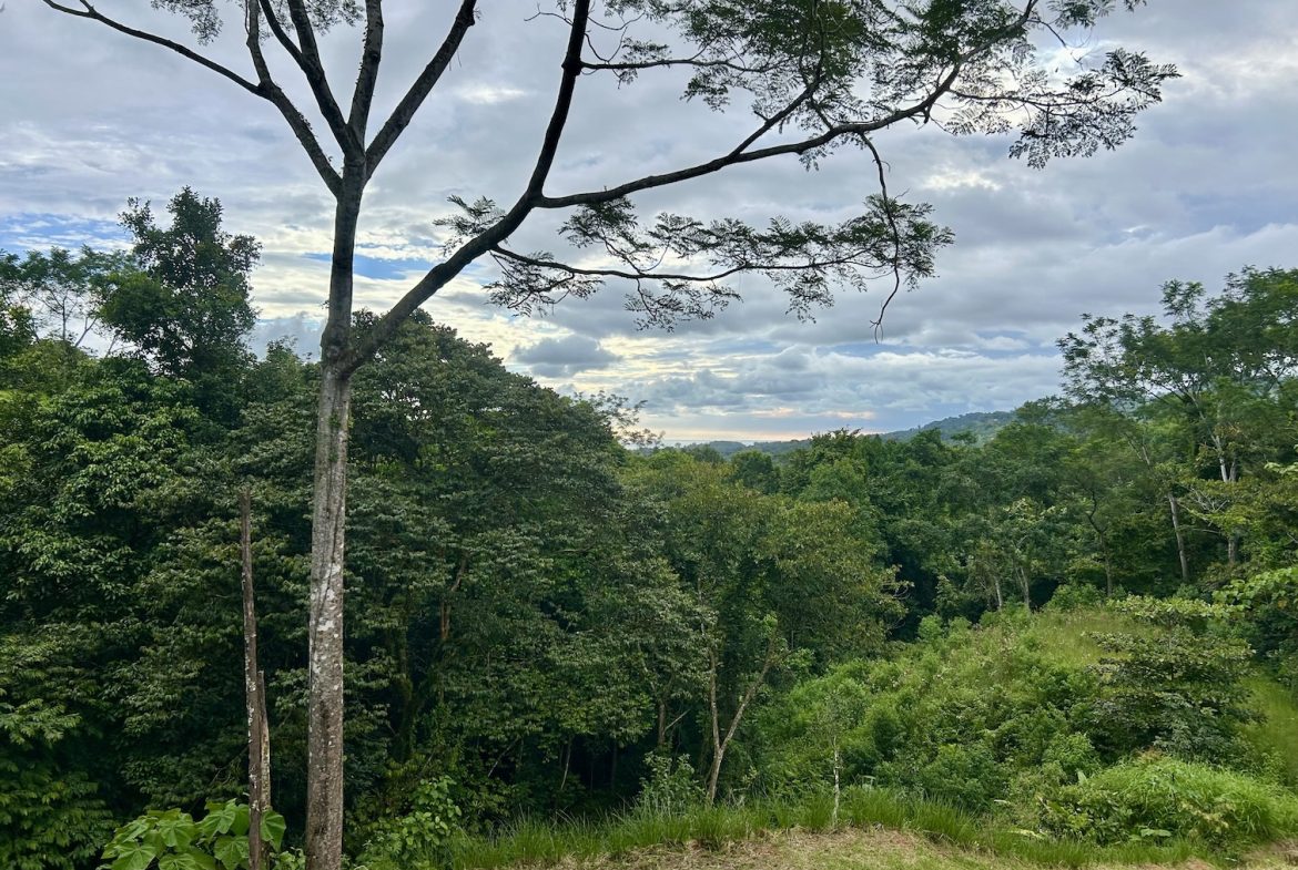 BUILDING PROPERTY IN A GATED COMMUNITY WITH MOUNTAIN VIEWS, IN OJOCHAL – 1.05 ACRES