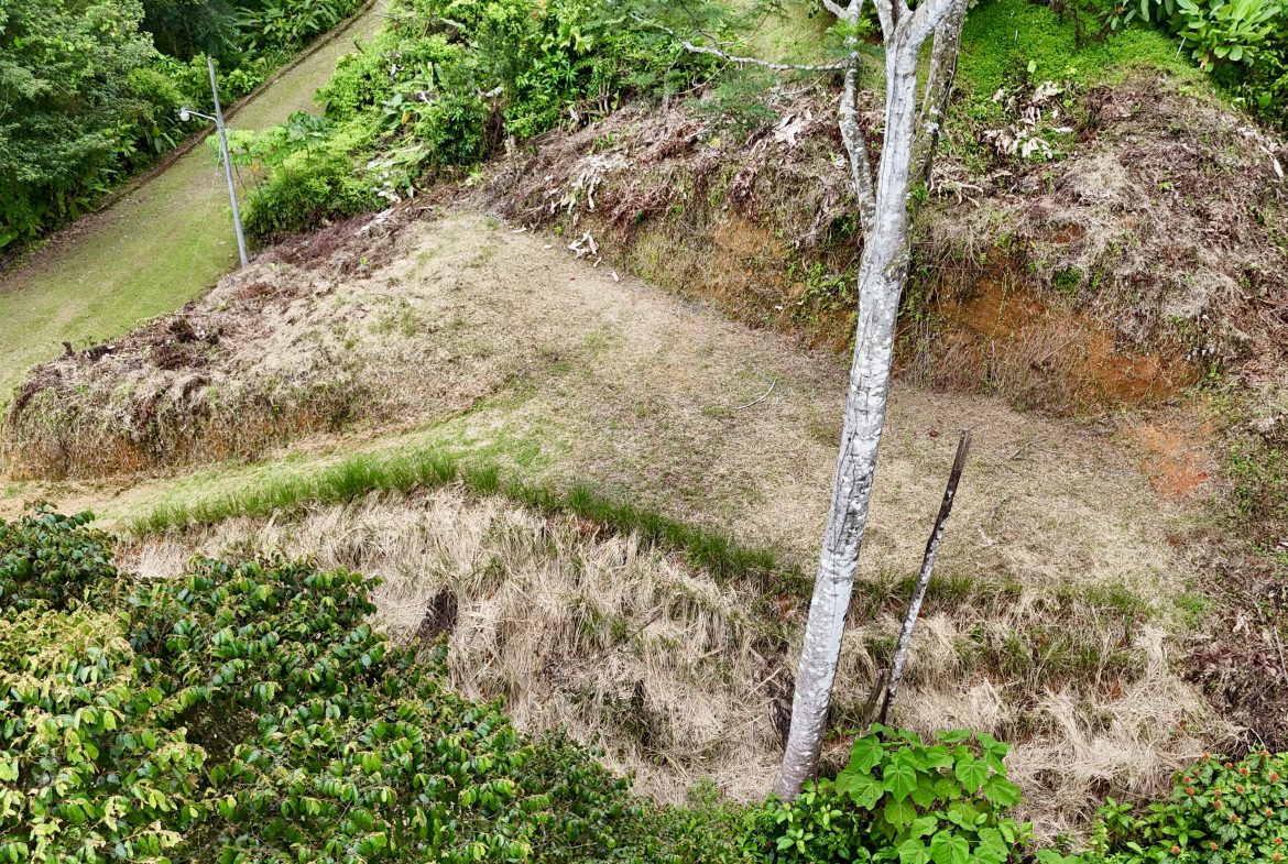 BUILDING PROPERTY IN A GATED COMMUNITY WITH MOUNTAIN VIEWS, IN OJOCHAL – 1.05 ACRES