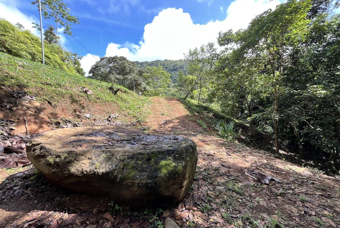 BUILDING JUNGLE PROPERTY NEAR A CREEK, IN TRINIDAD ZAPOTE – 2.47 ACRES
