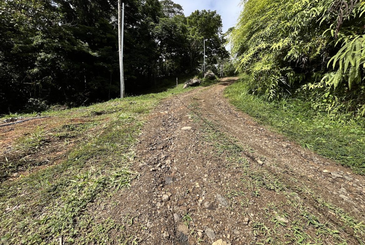 BUILDING JUNGLE PROPERTY NEAR A CREEK, IN TRINIDAD ZAPOTE – 2.47 ACRES