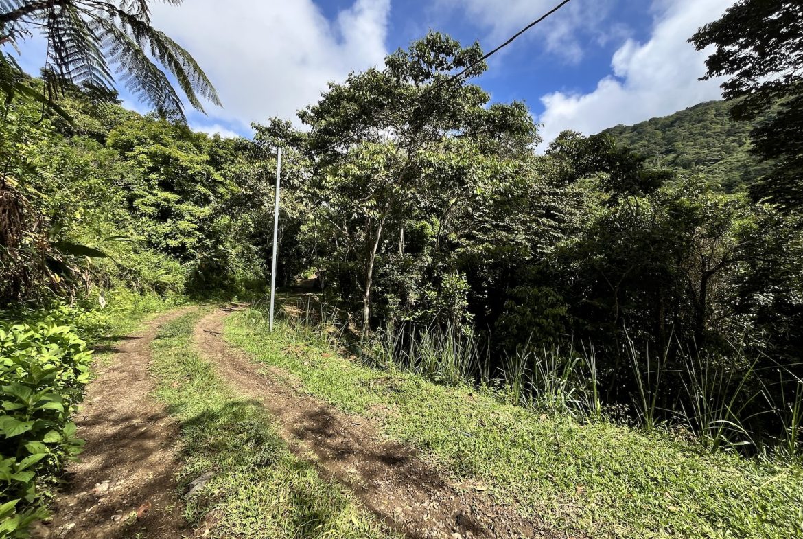 BUILDING JUNGLE PROPERTY NEAR A CREEK, IN TRINIDAD ZAPOTE – 2.47 ACRES
