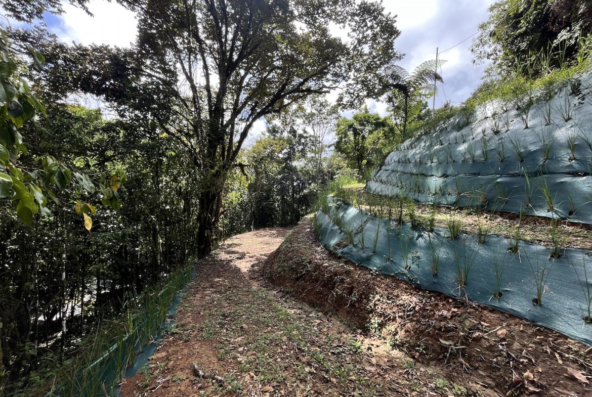 BUILDING JUNGLE PROPERTY NEAR A CREEK, IN TRINIDAD ZAPOTE – 2.47 ACRES