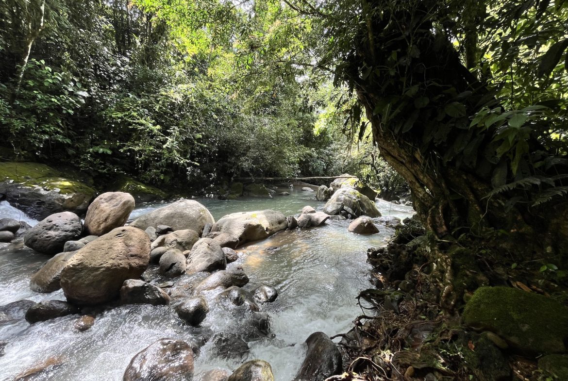 BUILDING JUNGLE PROPERTY NEAR A CREEK, IN TRINIDAD ZAPOTE – 2.47 ACRES