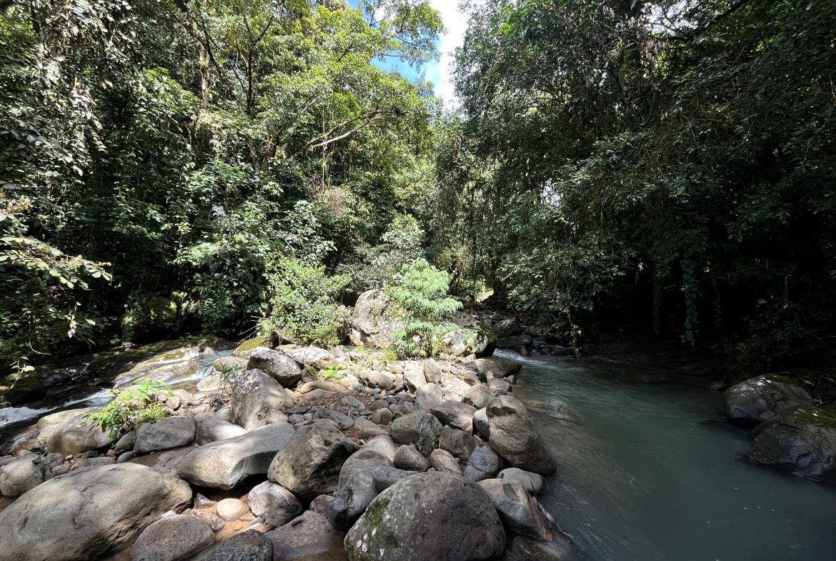 BUILDING JUNGLE PROPERTY NEAR A CREEK, IN TRINIDAD ZAPOTE – 2.47 ACRES